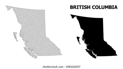 Polygonal mesh map of British Columbia Province in high resolution. Mesh lines, triangles and dots form map of British Columbia Province.