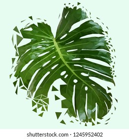 Polygonal monstera leaf realistic. Modern set with polygonal monstera leaf realistic for decoration design. Set tropical leaf isolated. Summer leaf. Low poly style