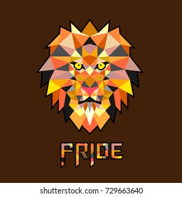 Polygonal Multicolored Lion Head Vector