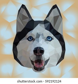 polygonal muzzle of husky. Asymmetrical. Only triangles