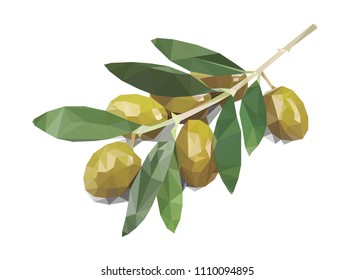 polygonal olive vector illustration isolated