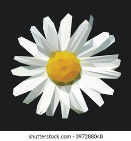 polygonal open flower with petals daisy on black