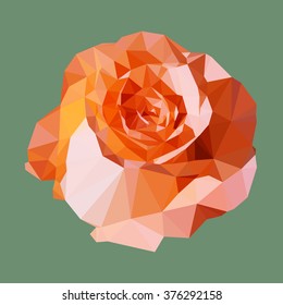 polygonal orange rose, polygon geometric flower, vector