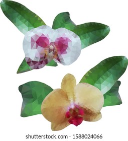 Polygonal orchids, flowers with leaves, isolated