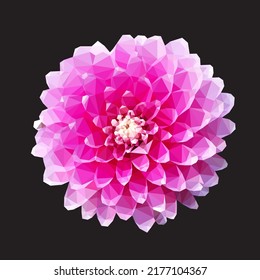Polygonal pink dahlia, geometric flower. Low poly vector illustration