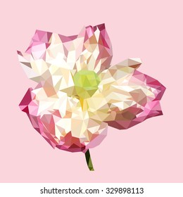 polygonal pink lotus, polygon triangle flower, isolated vector