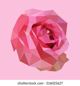 polygonal pink rose, polygon geometric flower, vector illustration