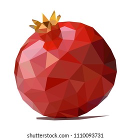 polygonal pomegranate vector illustration isolated