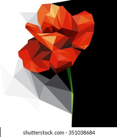 polygonal poppy 