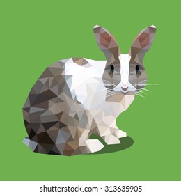 polygonal rabbit, polygon farm animal, vector