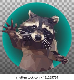 Polygonal Raccoon