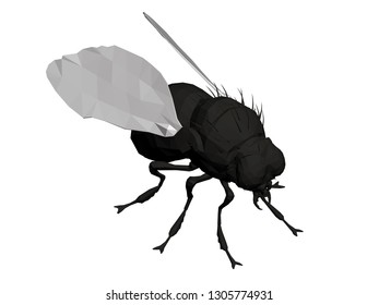 Polygonal realistic fly. Black fly with white wings. Isometric view. 3D. Vector illustration.
