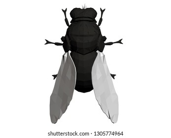 Polygonal realistic fly. Black fly with white wings. View from above. 3D. Vector illustration.