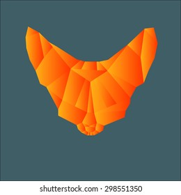 Polygonal red foxes muzzle