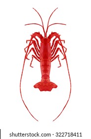 polygonal rock lobster, polygon sea life, isolated vector illustration