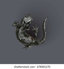 Polygonal salamander. Lizard. Grey salamander.