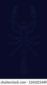 Polygonal scorpion on a dark background. The projection of the scorpion. Vector illustration.