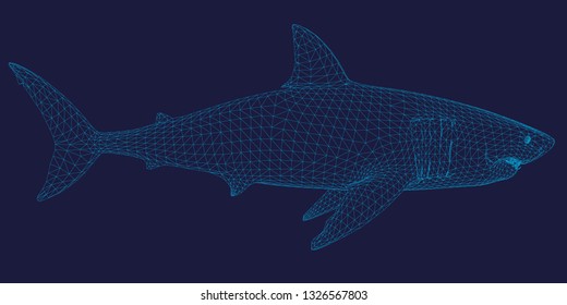 Polygonal shark frame of blue lines on a dark background. Side view. 3D.