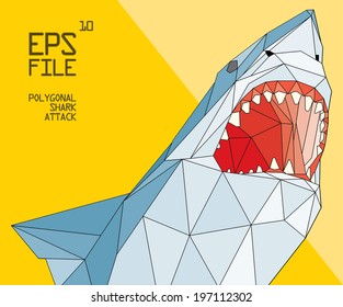 polygonal shark illustration