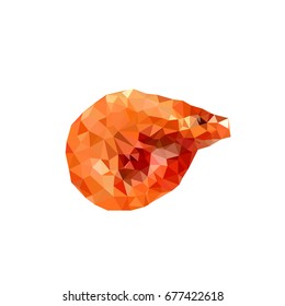 polygonal shrimp
