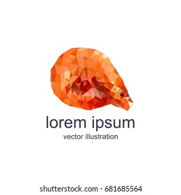 polygonal shrimp