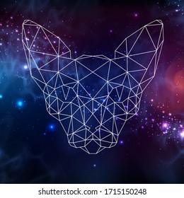Polygonal silhouette of sphynx cat on dark open space background. Abstract Polygonal head of cat