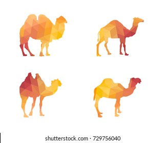 Polygonal Silhouettes of Camels