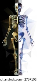 Polygonal skeleton. low poly illustration. Polygonal creative poster