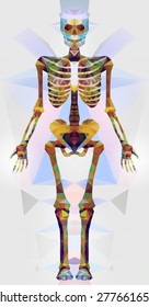 Polygonal skeleton. low poly illustration. Polygonal creative poster