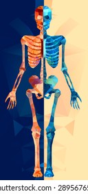 Polygonal skeleton. low poly illustration. Polygonal creative poster