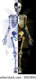 Polygonal skeleton. low poly illustration. Polygonal creative poster