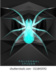 Polygonal spider. Geometric  illustration. Polygonal creative poster. low poly illustration