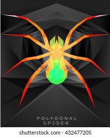 Polygonal spider. Geometric  illustration. Polygonal creative poster. low poly illustration
