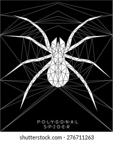 Polygonal spider. Geometric  line illustration. Polygonal creative poster. low poly illustration