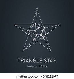 Polygonal Star, Modern stylish logo. Design element with triangles and nodes. Vector low poly logotype template.