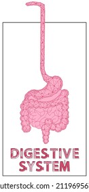 Polygonal stomach and intestines. Medical research of internal organs, innovative approach concept. Human digestive system illustration. Modern depiction of organs for digesting and assimilating food