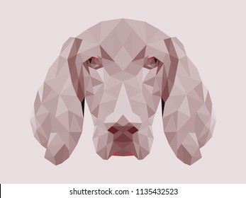 Polygonal style dog. Hungarian vizsla. Vector abstract illustration