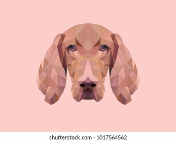 Polygonal style dog vizsla. Vector abstract illustration