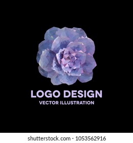 polygonal succulent illustration