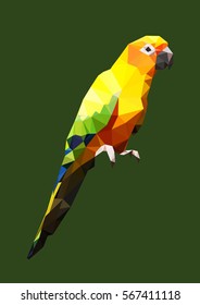 polygonal sun conure parrot, isolated polygon bird vector