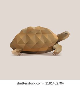 polygonal turtle, tortoise vector illustration