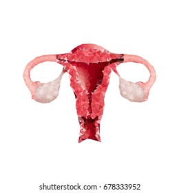 polygonal uterus