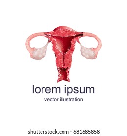 polygonal uterus