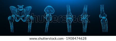 Polygonal vector illustration of the bones of the pelvis, hip joint and knee joints on a dark blue background. Human skeleton anatomy medical template.