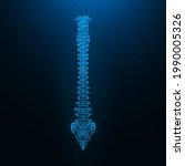 Polygonal vector illustration of a healthy human spine. Spine anatomy.