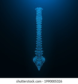 Polygonal vector illustration of a healthy human spine. Spine anatomy.