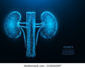 Ilustración vectorial poligonal de los riñones humanos sobre un fondo azul oscuro. Diseño interno de baja polilla orgánica. Banner, plantilla o fondo médico de nefrología o urología.