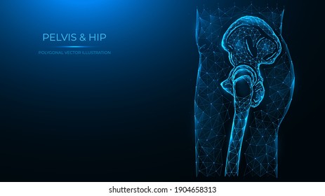 Polygonal vector illustration of the human pelvis and hip joint side view. Human thigh made of dots and lines isolated on dark blue background.