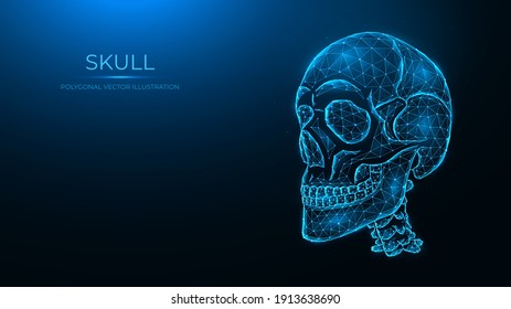 Polygonal Vector Illustration Human Skull Low Stock Vector Royalty Free Shutterstock