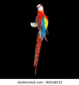 polygonal vector illustration of red parrot isolated